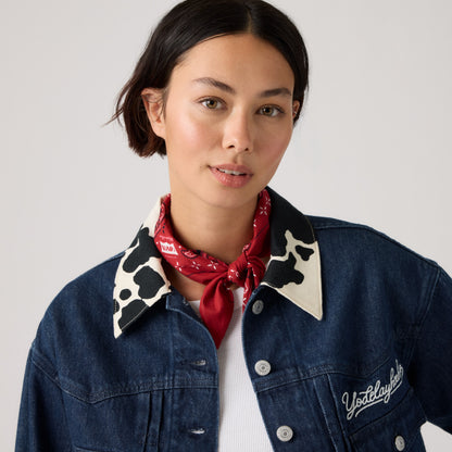 Levi's® x Toy Story Bandana (3-Pack) - Main Image