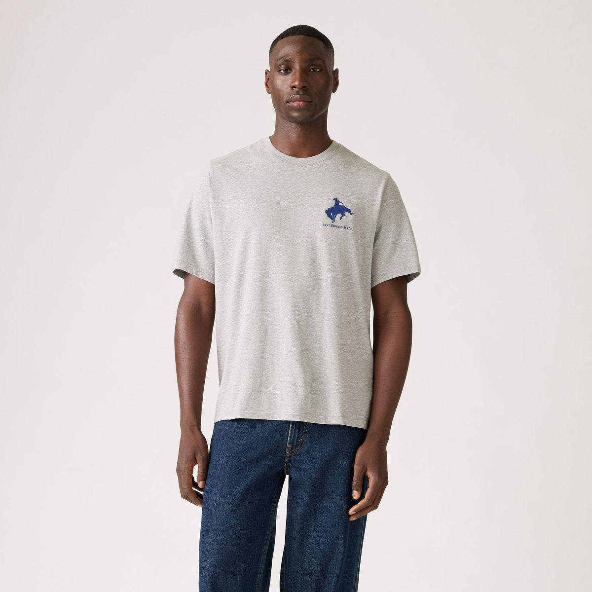 Levi's® Men's Relaxed Short Sleeve Graphic T-Shirt